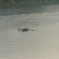 Women s Novice 4 e